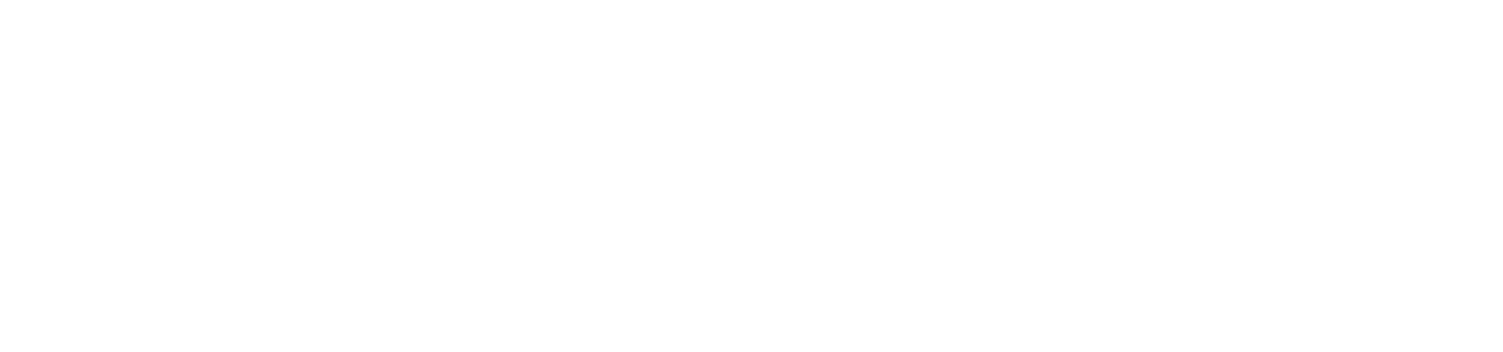 AccELERATION O-100km/h