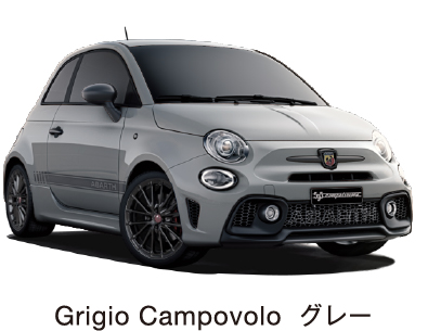 Grigio Campovolo グレー / ブラックトップ