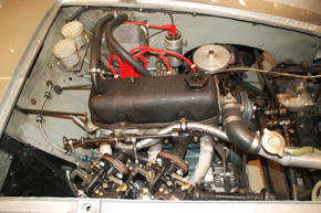 boano9